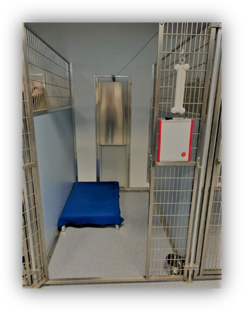 Dog Boarding in Seneca SC