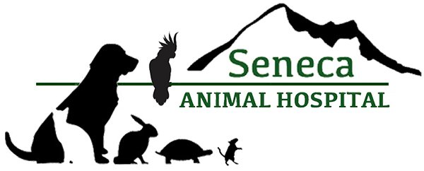 Demo Animal Hospital